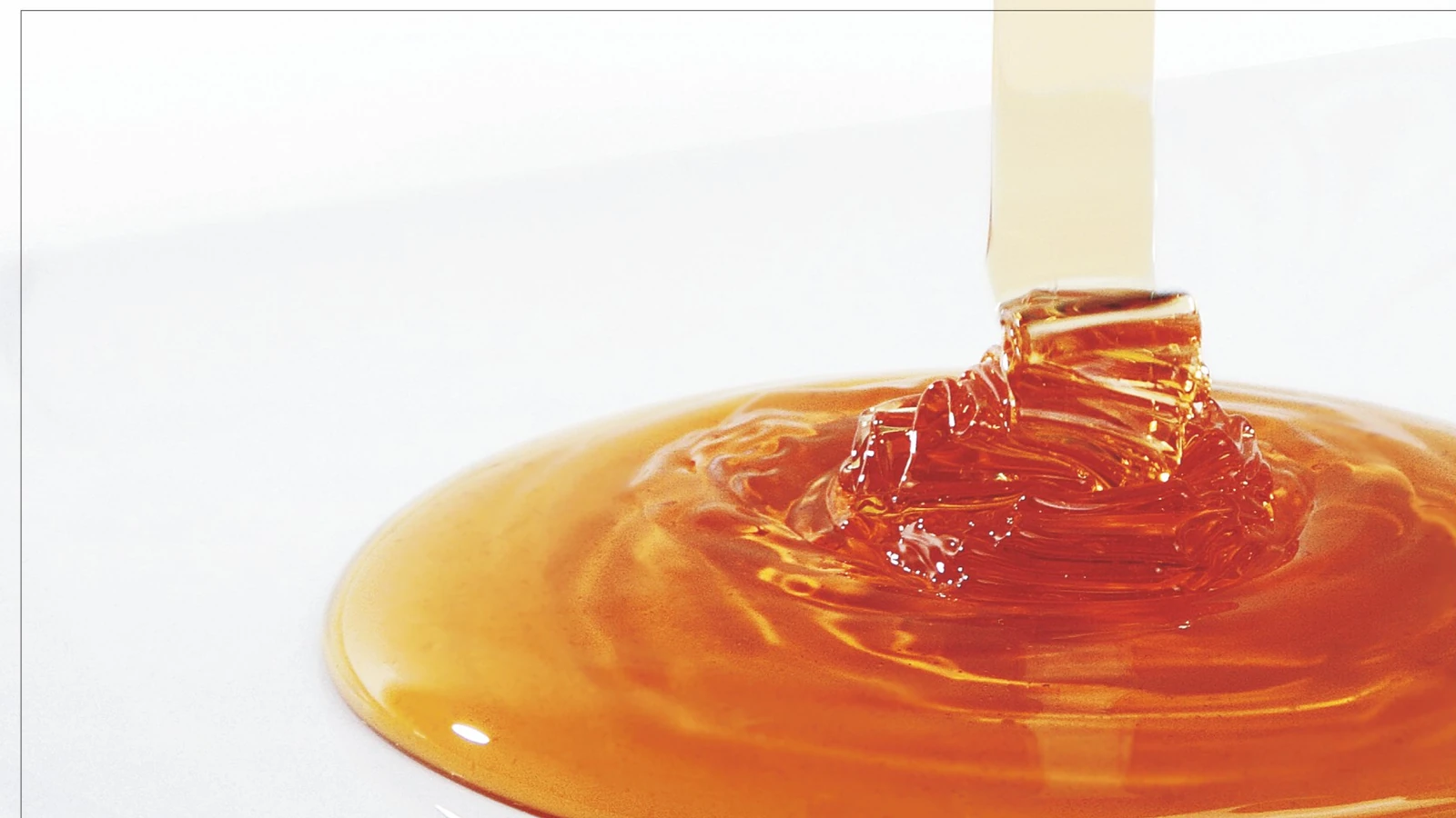 SEYZO food syrup brochure material