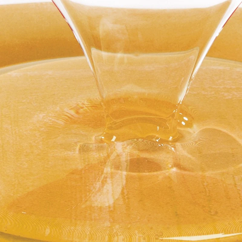 SEYZO F55 High Fructose Corn Syrup